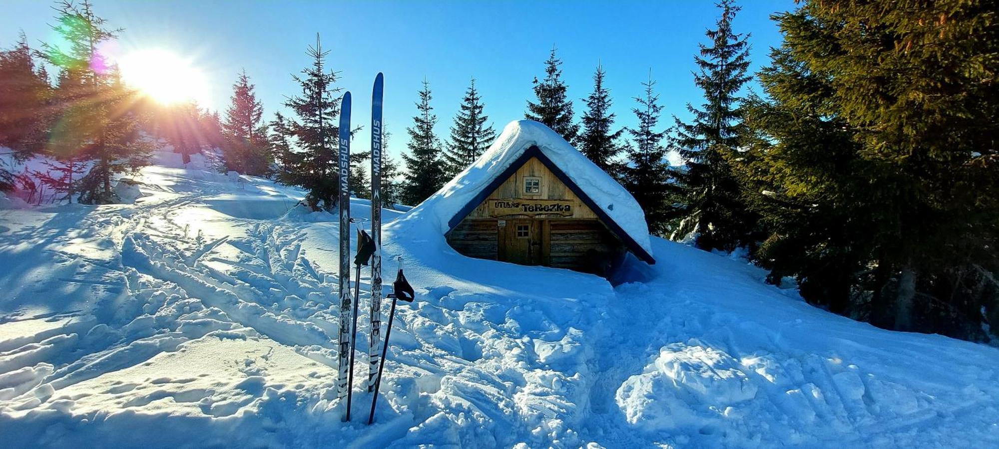 Tiny House Lavender Villa Podturen Dış mekan fotoğraf